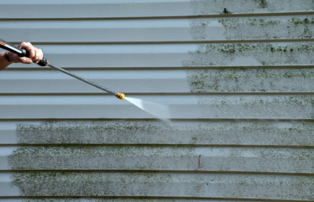 Best Mold Removal Process  in Gruver, TX