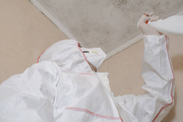 Best Home Mold Removal  in Gruver, TX
