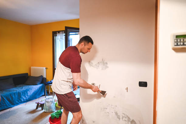 Best Professional Mold Removal  in Gruver, TX