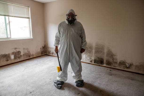 Best Affordable Mold Removal  in Gruver, TX